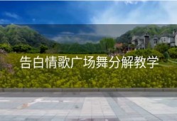 告白情歌广场舞分解教学