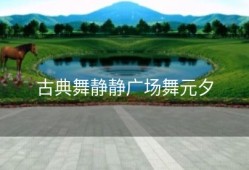 古典舞静静广场舞元夕