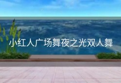 小红人广场舞夜之光双人舞