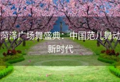 菏泽广场舞盛典：中国范儿舞动新时代