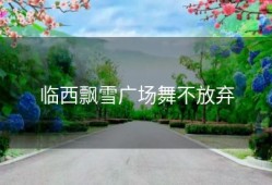 临西飘雪广场舞不放弃