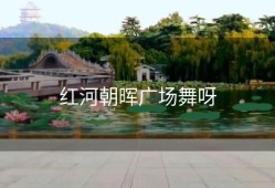 红河朝晖广场舞呀