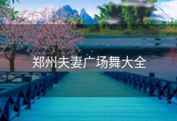 郑州夫妻广场舞大全