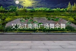又见江南雨广场舞伞舞