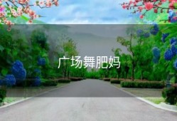 广场舞肥妈