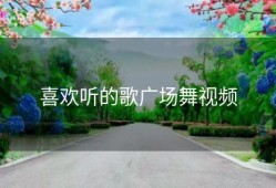 喜欢听的歌广场舞视频