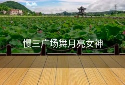 慢三广场舞月亮女神