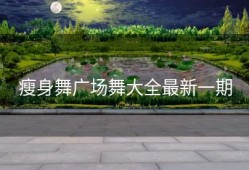 瘦身舞广场舞大全最新一期