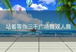 站着等你三千广场舞双人舞