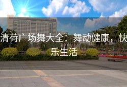 清荷广场舞大全：舞动健康，快乐生活