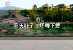 重庆叶子广场舞下载