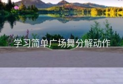 学习简单广场舞分解动作