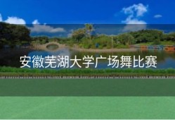 安徽芜湖大学广场舞比赛