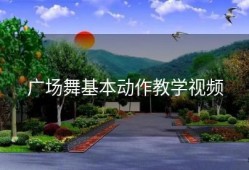 广场舞基本动作教学视频