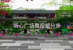 听心广场舞视频分步