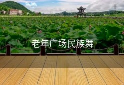 老年广场民族舞