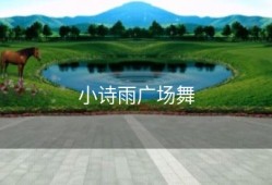小诗雨广场舞