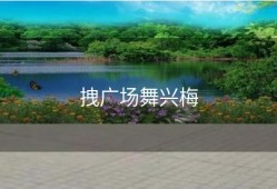 拽广场舞兴梅