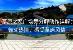 草原之恋广场舞分解动作详解：舞动热情，感受草原风情