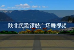 陕北民歌锣鼓广场舞视频