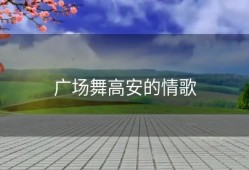 广场舞高安的情歌