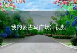 我的蒙古马广场舞视频