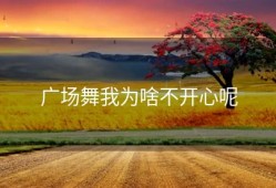 广场舞我为啥不开心呢