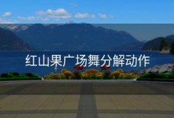 红山果广场舞分解动作