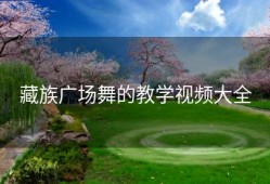 藏族广场舞的教学视频大全