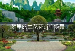 梦里的兰花花dj广场舞