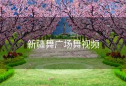新疆舞广场舞视频