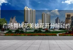 广场舞桃花美桃花开分解动作