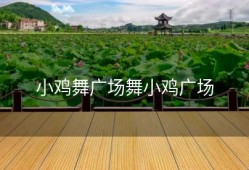 小鸡舞广场舞小鸡广场