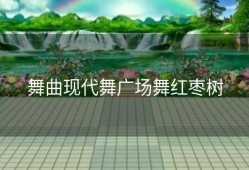 舞曲现代舞广场舞红枣树