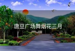 唐豆广场舞烟花三月