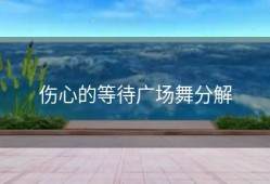 伤心的等待广场舞分解