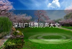 深圳广场舞原声大全