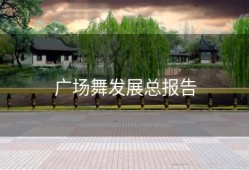 广场舞发展总报告