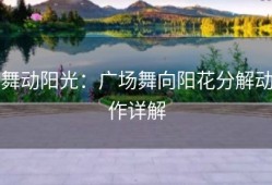 舞动阳光：广场舞向阳花分解动作详解