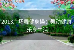 2013广场舞健身操：舞动健康，乐享生活