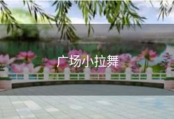 广场小拉舞