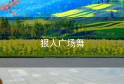 狠人广场舞