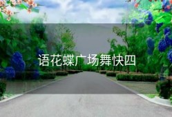 语花蝶广场舞快四