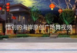 惜别的海岸原创广场舞视频