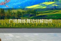 广场舞练舞功分解动作