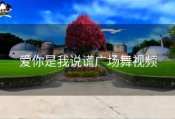 爱你是我说谎广场舞视频