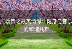 广场舞之最美情缘：健身与音乐的和谐共舞