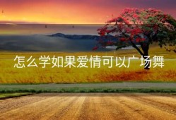 怎么学如果爱情可以广场舞