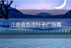 江南夜色浓叶子广场舞