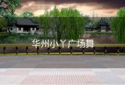 华州小丫广场舞
